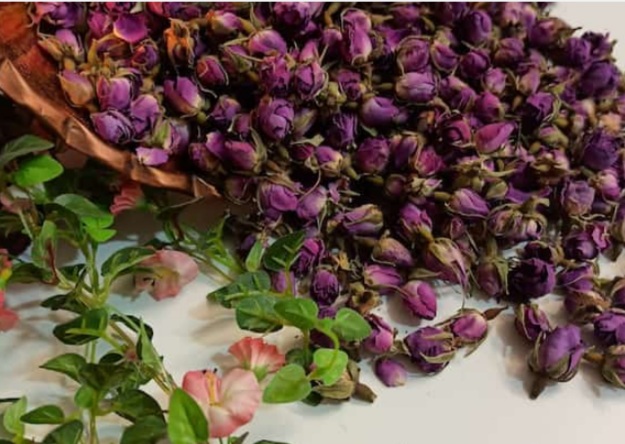 فروش ویژه انواع غنچه گل محمدی + بهترین قیمت بازار