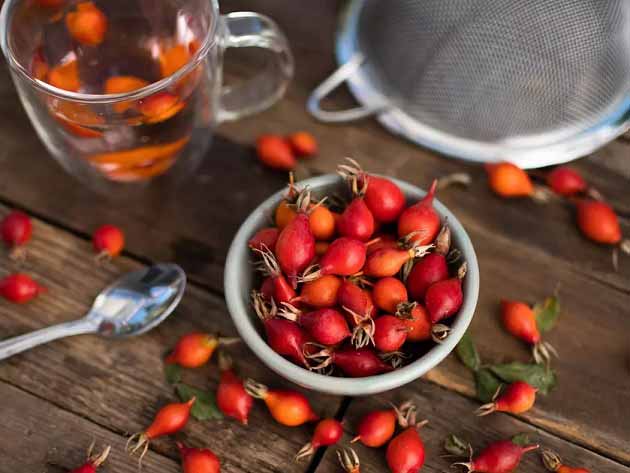 تصویر 3 از خرید عمده میوه نسترن صادراتی با کیفیت ممتاز