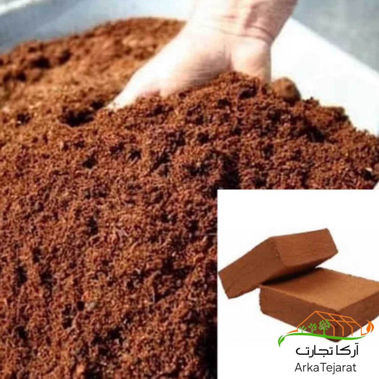 تصویر 5 از خرید عمده کوکوپیت و پیت ماس آتلانتیس در اصفهان فروش با قیمت رقابتی