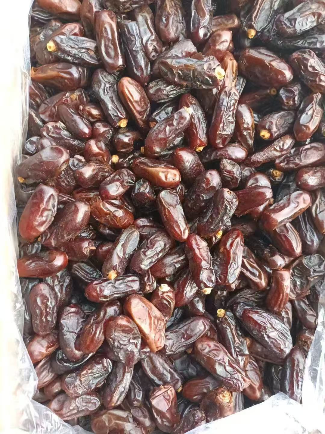تصویر 1 از فروش ویژه خرما استعمران خوزستان
