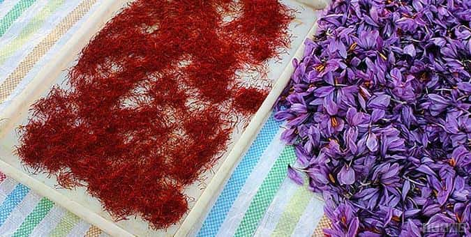 تصویر 4 از قیمت زعفران نگین + پخش تولیدی عمده کارخانه