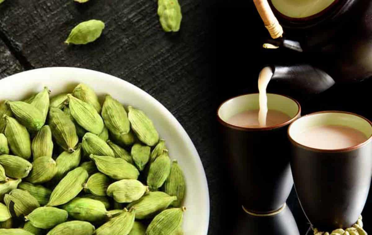 تصویر 3 از خرید و قیمت چای هل + فروش صادراتی