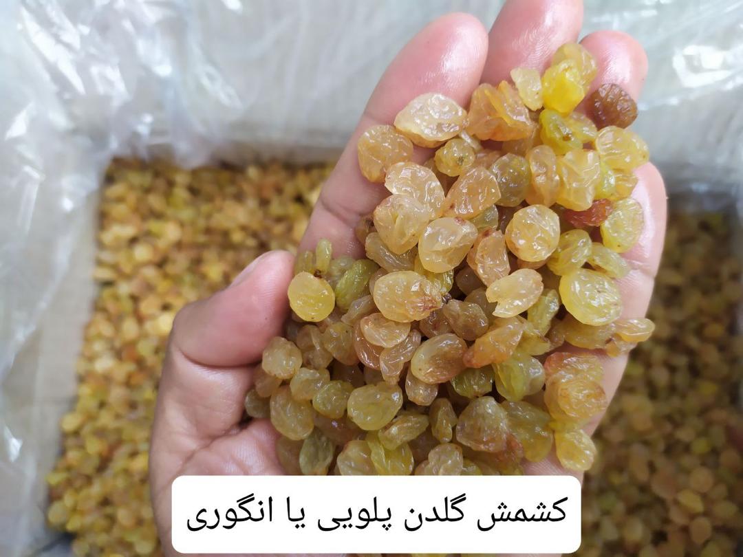 تصویر 2 از خرید کشمش گلدن طلایی + قیمت فروش استثنایی