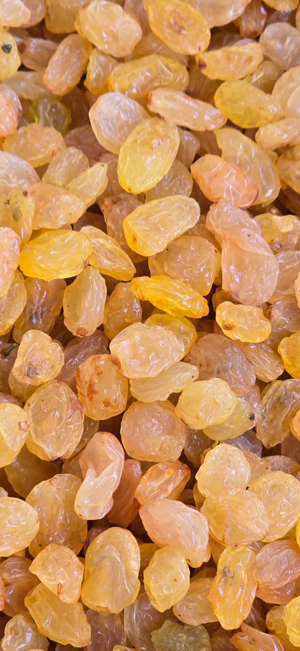 تصویر 1 از خرید کشمش گلدن طلایی + قیمت فروش استثنایی