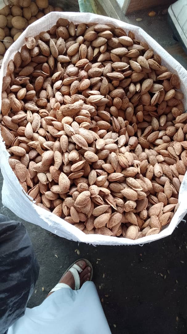 تصویر 1 از فروشگاه بادام درختی