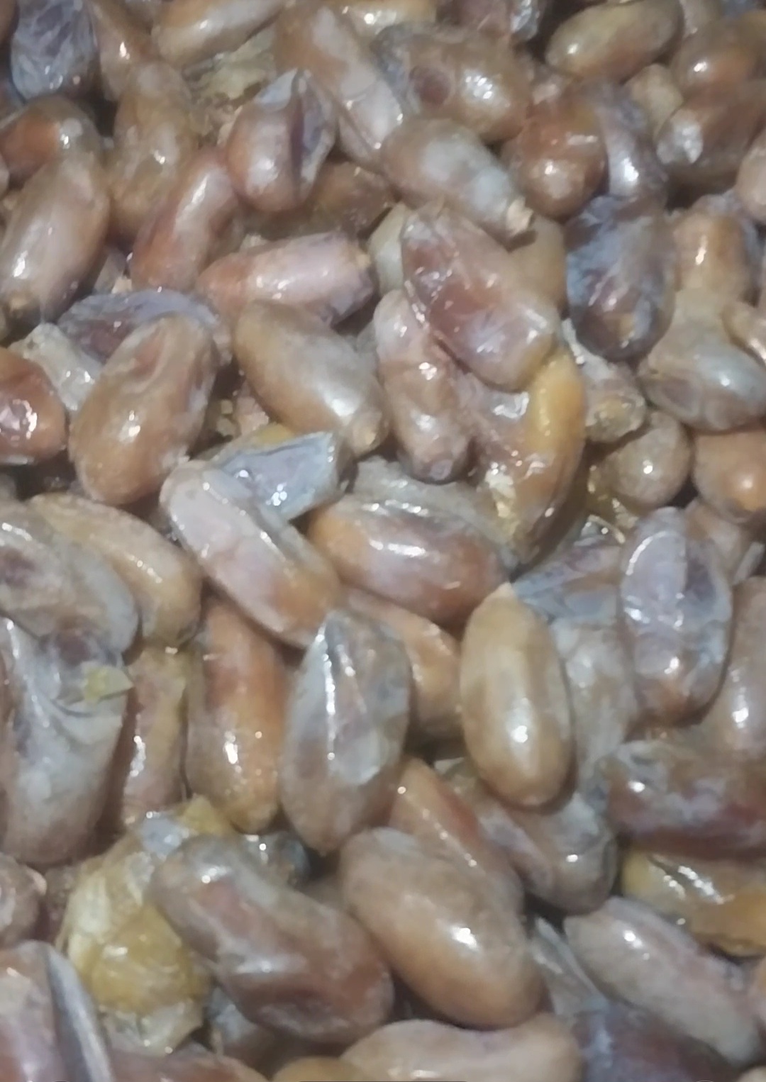 قیمت ویژه خرما شاهانی خاوران