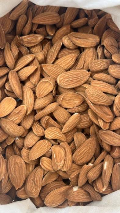 فروش عمده بادام ارگانیک + مناسب تولید کنندگان کره بادام