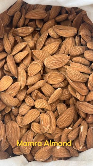 تصویر 5 از فروش عمده بادام ارگانیک + مناسب تولید کنندگان کره بادام
