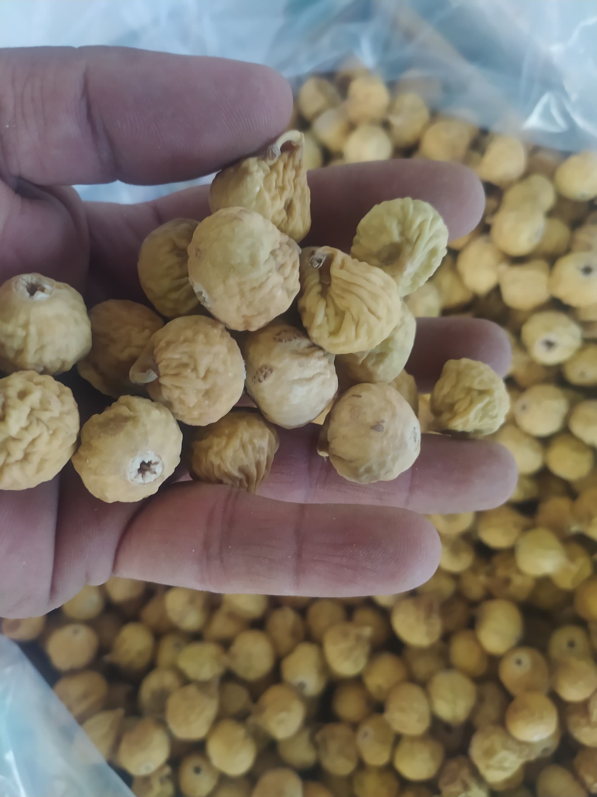 تصویر 1 از پخش انواع انجیر خشک با بهترین قیمت و کیفیت