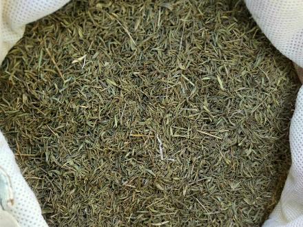 تصویر 2 از فروش ویژه آویشن باغی صادراتی + عطر قوی و برگ خالص