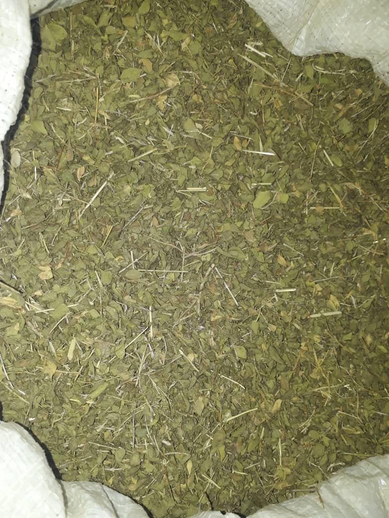 تصویر 4 از فروش ویژه آویشن باغی صادراتی + عطر قوی و برگ خالص