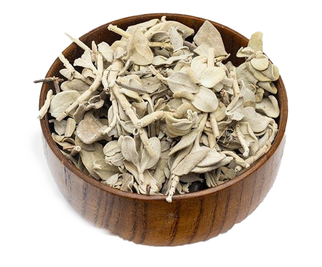 فروش عمده پولک صادراتی + عطر دل‌ انگیز و کیفیت ماندگار