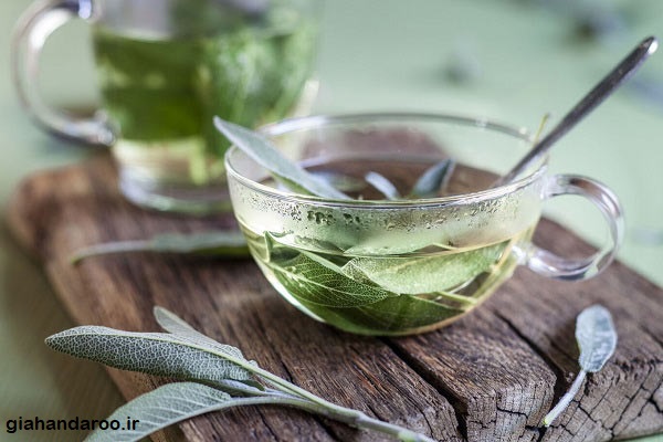 تصویر 1 از فروش ویژه مریم‌ گلی بحال خود + کیفیت طبیعی و عطر درمانی بی‌ نظیر
