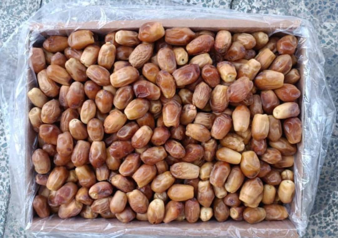 تصویر 2 از خرما زاهدی کیفیت لوکس + قیمت عالی