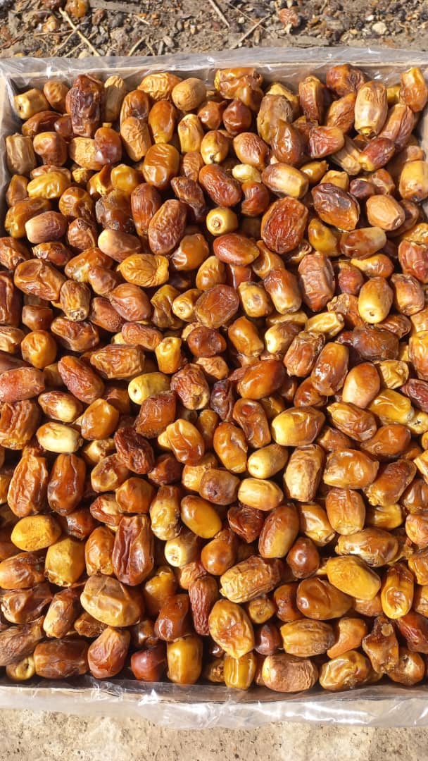 تصویر 1 از خرما زاهدی کیفیت لوکس + قیمت عالی