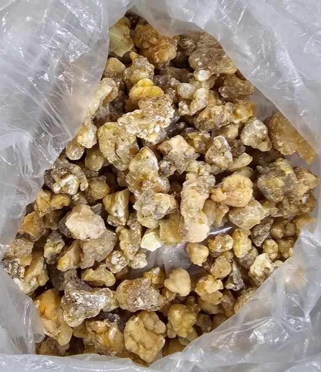تصویر 2 از فروش آنغوزه شیرین صادراتی به قیمت عمده