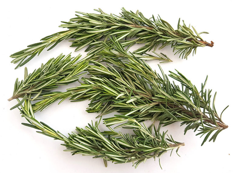 فروش ویژه رزماری سورت صادراتی + قیمت عمده