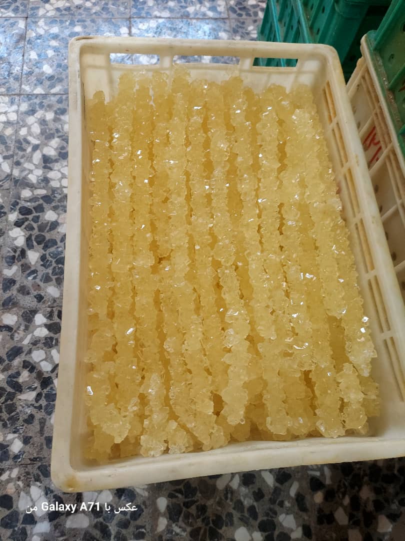 تصویر 2 از فروش عمده نبات شاخه ای زرد