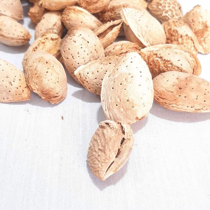 تصویر 3 از خرید و قیمت ویژه بادام لوس مجیدی به صورت عمده