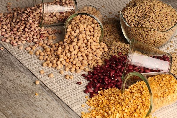 تصویر 1 از عرضه و خرید کنسرو حبوبات