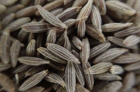 تصویر 4 از گرانول زیره سبز خوش عطر عمده، مخصوص رستوران و ادویه ترکیبی گرم