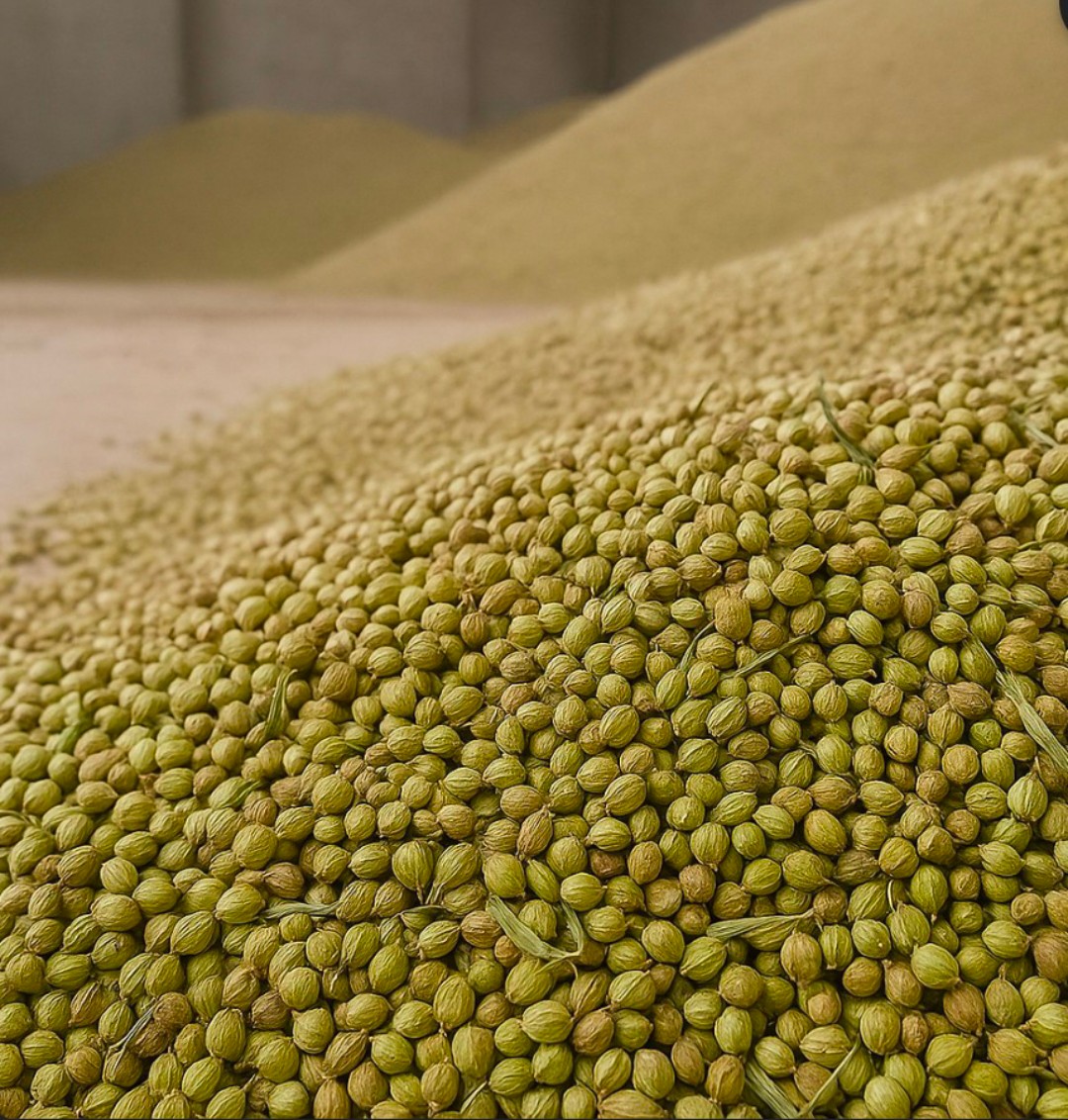 بذر