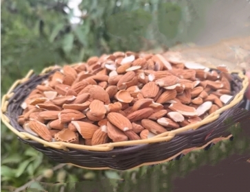 تصویر 1 از فروش ویژه مغز بادام شکسته مامایی مخصوص شیرینی پزی
