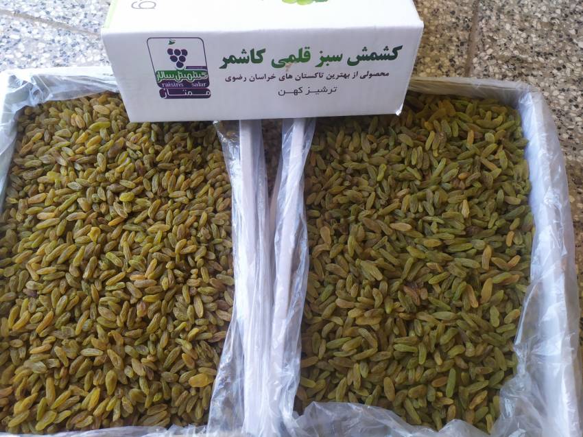 تصویر 3 از خرید کشمش سبز اعلا‌ کاشمر