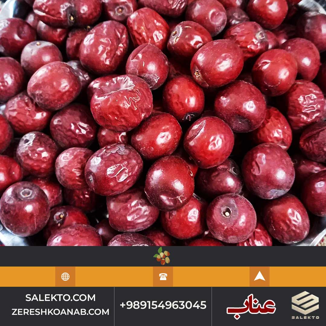 عناب امسالی قائنات ارگانیک سرشار از آنتی‌ اکسیدان و ویتامین C + قیمت استثنایی