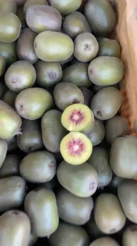 تصویر 3 از کیوی توسرخ ممتاز صادراتی با کیفیت بالا و ماندگاری طولانی