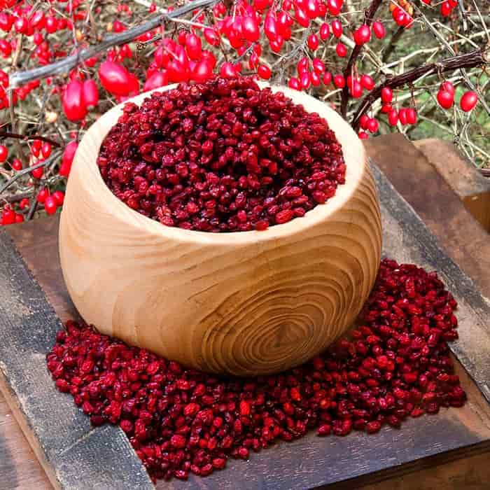 تصویر 1 از فروش زرشک پفکی + قیمت خرید به صرفه