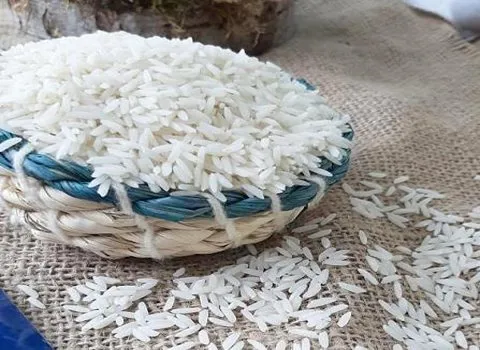 برنج سوشی