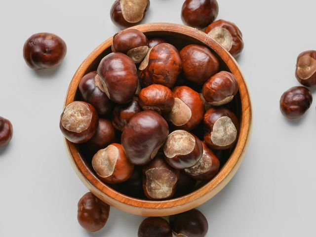 تصویر 1 از قیمت با کیفیت ارزان فندق بو داده نمکی + خرید عمده