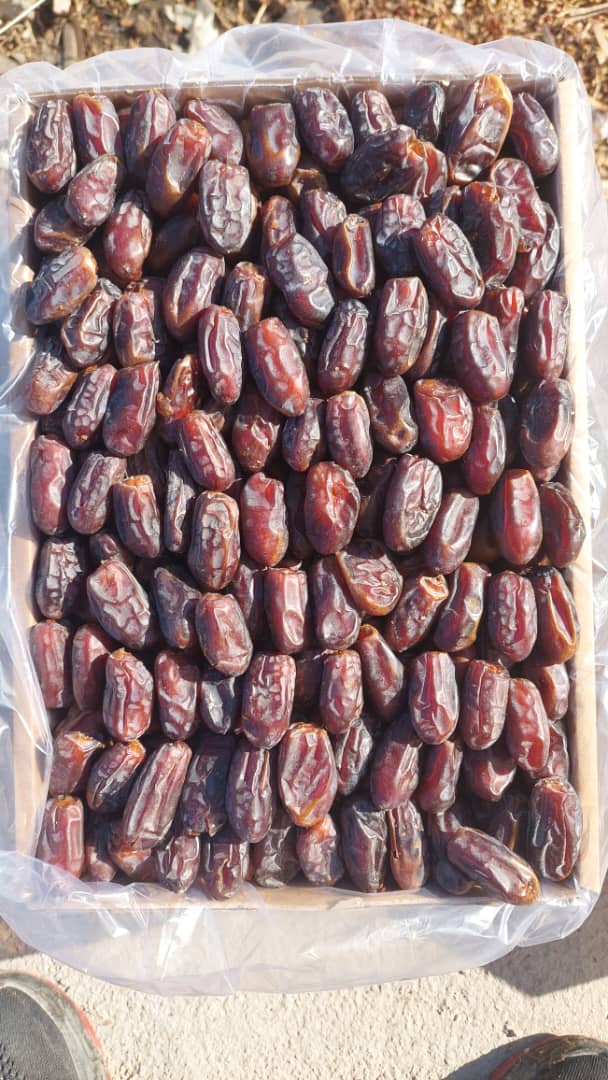 تصویر 1 از فروش خرما استعمران آبادان با قیمتی متفاوت