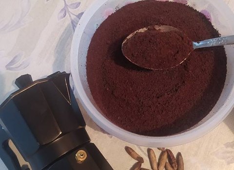 تصویر 5 از قهوه انواع هسته خرما قیمت مناسب ایرانی عمده