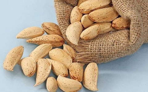 تصویر 5 از فروش بادام مرغوب همدان با کیفیت صادراتی