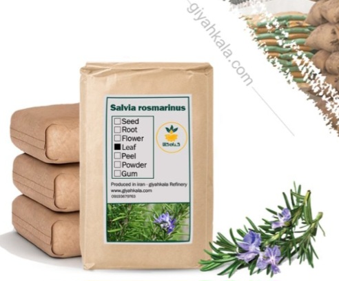تصویر 1 از گیاه رزماری خشک و پودری + بسته بندی فروش صادراتی