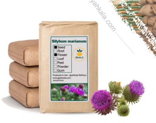 تصویر 1 از گیاه خار مریم خشک و پودری + بسته بندی فروش صادراتی
