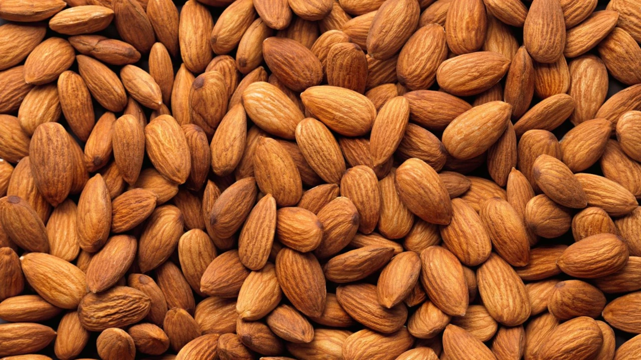تصویر 2 از قیمت بادام تلخ + خرید باور نکردنی