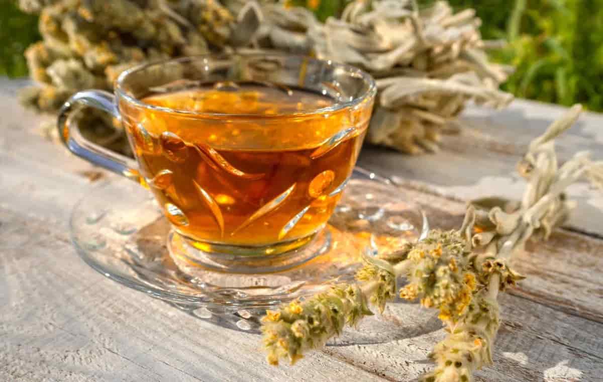 تصویر 1 از خرید و قیمت چای کوهی + فروش صادراتی