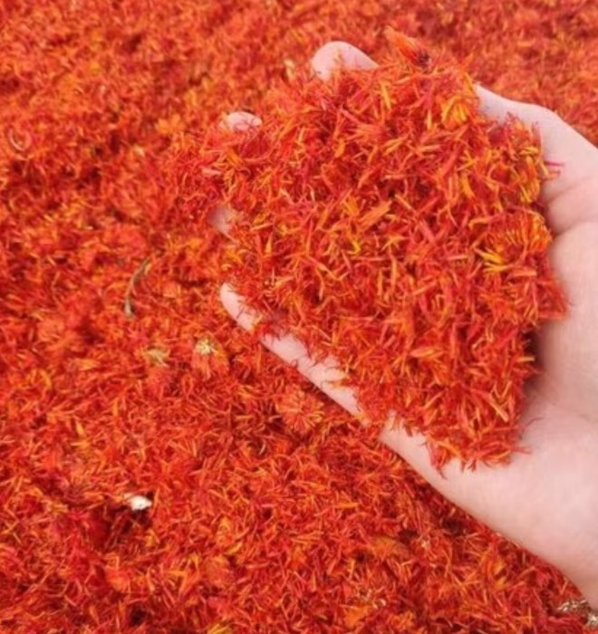 تصویر 3 از فروش عمده گلرنگ صادراتی رنگ طبیعی با ارزش اقتصادی بالا