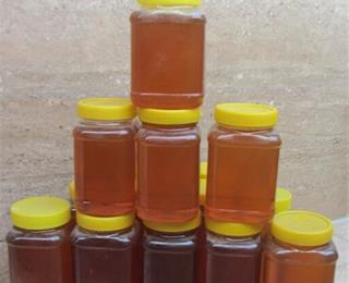 تصویر 2 از قیمت خرید عسل هفت + فروش سریع