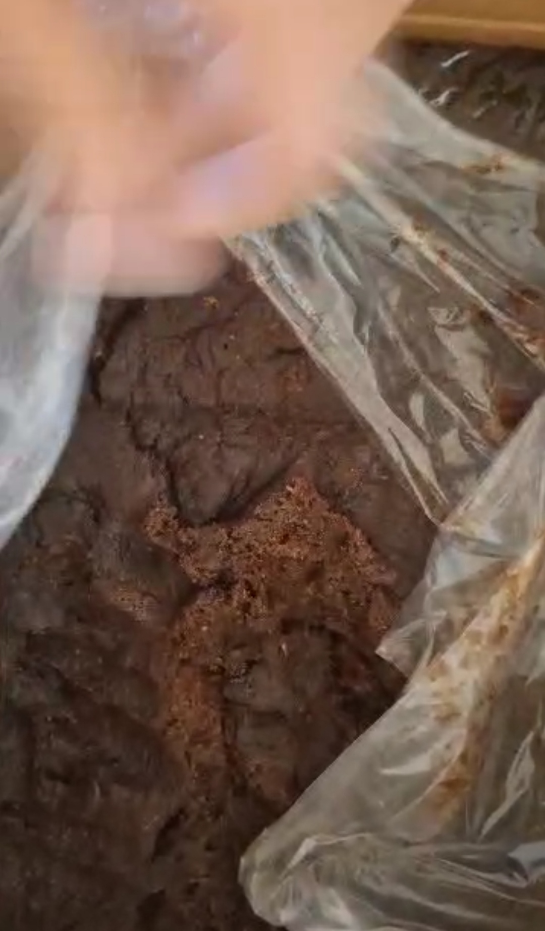 تصویر 2 از قیمت فروش خمیر خرمای صادراتی