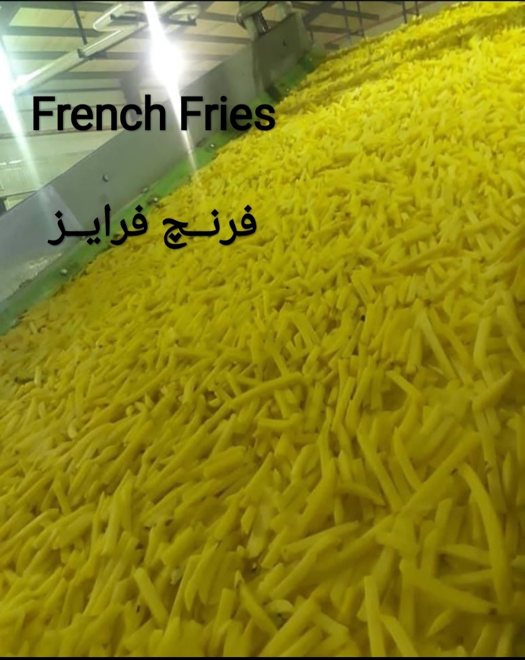 تصویر 1 از قیمت روز فرنچ فرایز ساویس + فروش عمده ترد و تازه