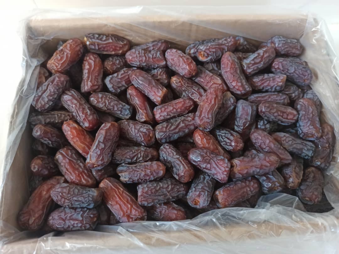 تصویر 1 از فروش ویژه انواع خرما پیارم + لوکس و خوش طعم