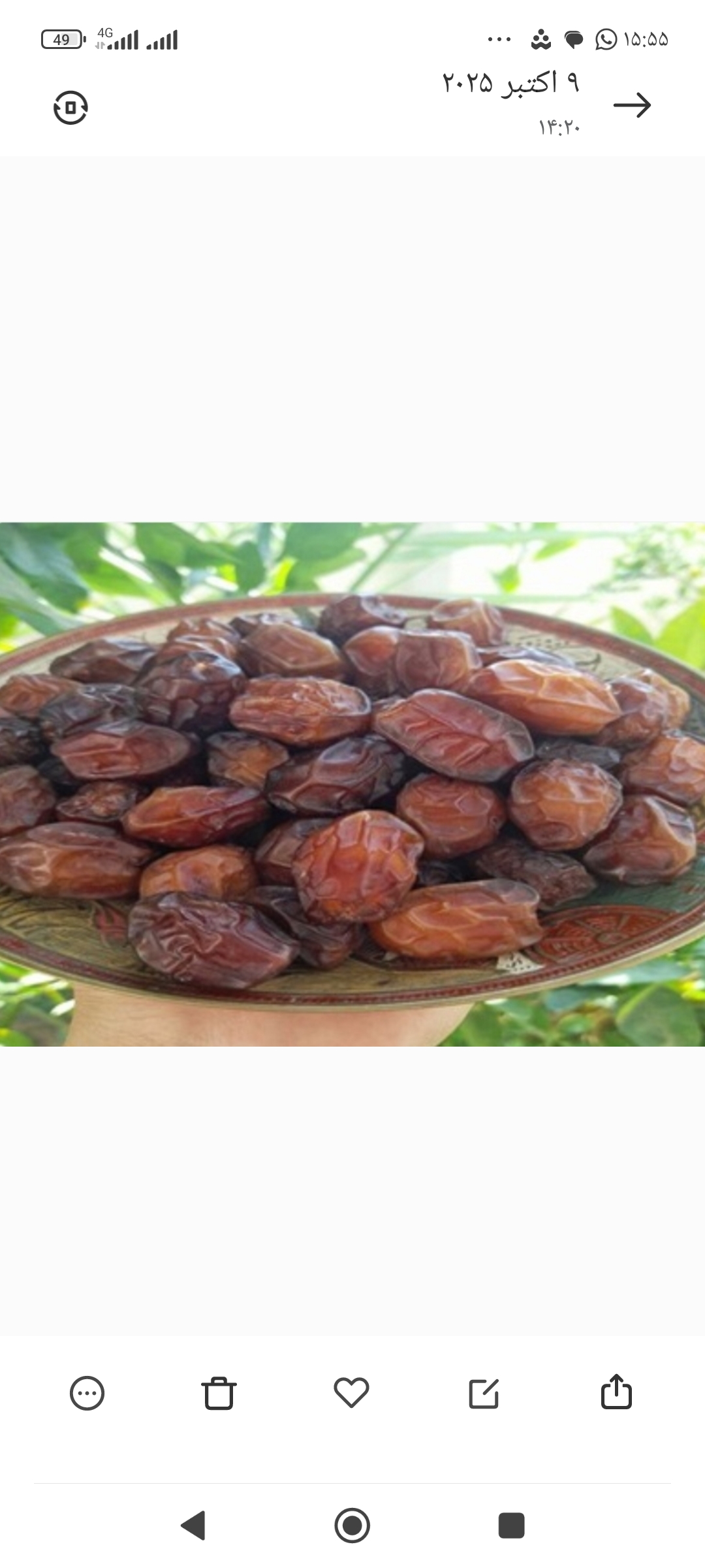 تصویر 1 از خرید و فروش انواع خرما قیمت مناسب