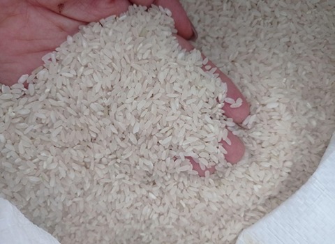 تصویر 3 از خرید برنج بی‌ نظیر کامفیروز کیفیت عالی عطر و طعم عالی
