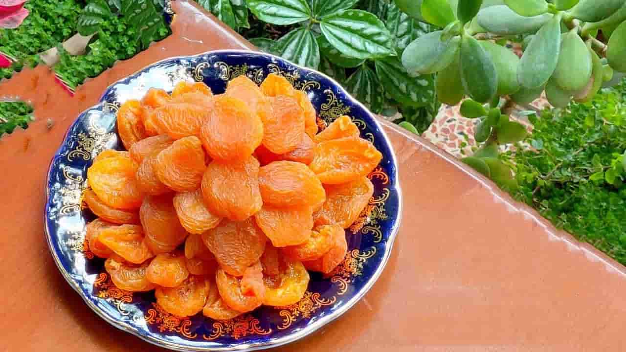تصویر 3 از قیمت خرید برگه قیسی اعلا + فروش ویژه