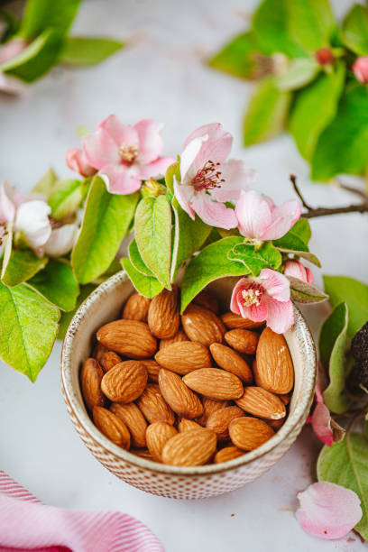 تصویر 2 از قیمت خرید بادام مامایی با بهترین کیفیت