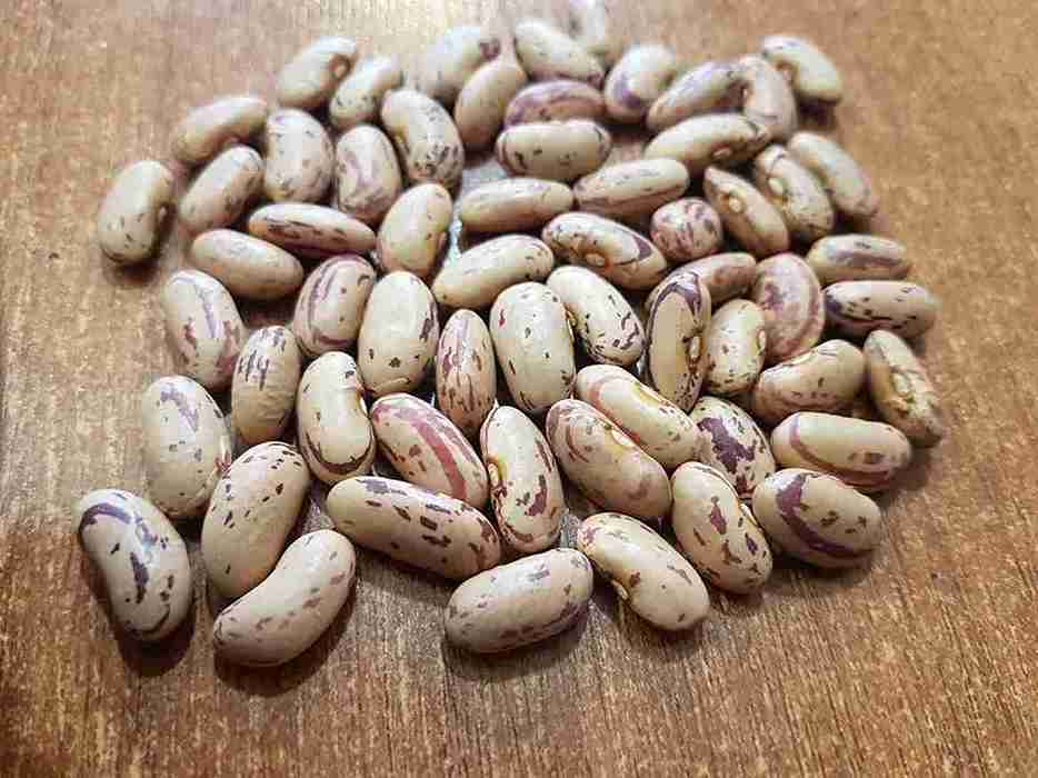 تصویر 2 از فروش لوبیا چیتی برای قرمه سبزی + قیمت خرید به صرفه